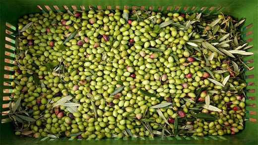 Boost for your physical health and uplift your mental well-being with one drizzle